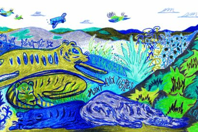 Agrandir l'image, fenêtre modale