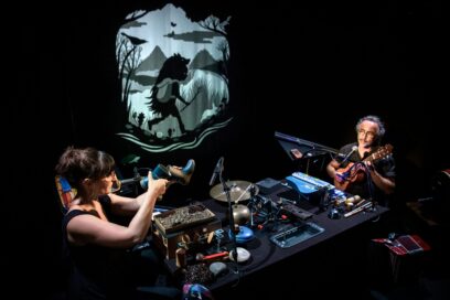 Agrandir l'image, fenêtre modale