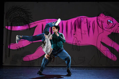 Agrandir l'image, fenêtre modale