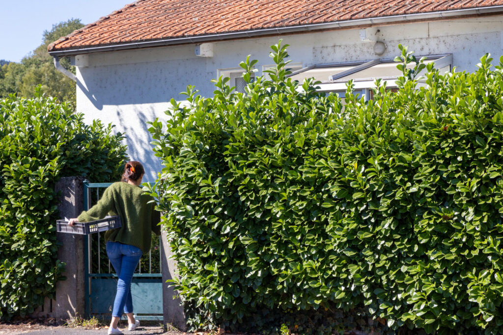 Agrandir l'image, fenêtre modale