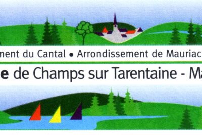 Agrandir l'image 6 sur 14, fenêtre modale