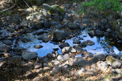 Agrandir l'image 1 sur 8, fenêtre modale