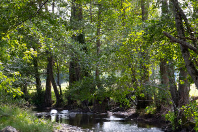 Agrandir l'image 1 sur 5, fenêtre modale