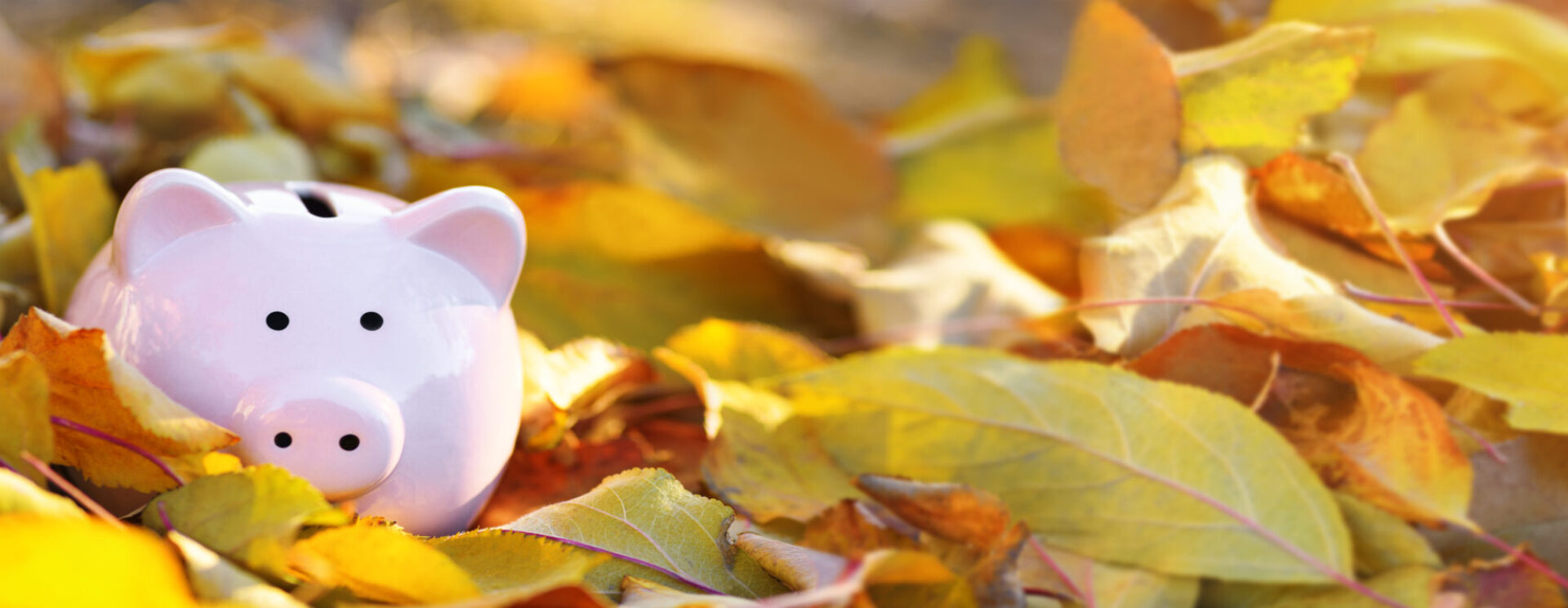 Tirelire en forme de cochon sur tas de feuilles automnales