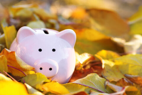 Tirelire en forme de cochon sur tas de feuilles automnales