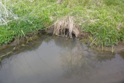 Agrandir l'image 6 sur 7, fenêtre modale