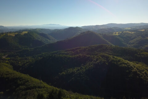 Paysage valloné de Sumène Artense