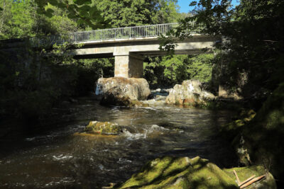 Agrandir l'image 4 sur 5, fenêtre modale