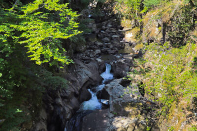 Agrandir l'image 5 sur 8, fenêtre modale