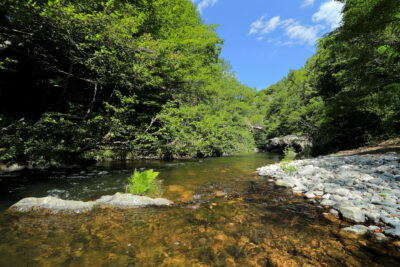 Agrandir l'image 5 sur 5, fenêtre modale