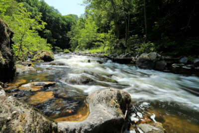 Agrandir l'image 6 sur 8, fenêtre modale