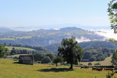 Agrandir l'image 6 sur 9, fenêtre modale