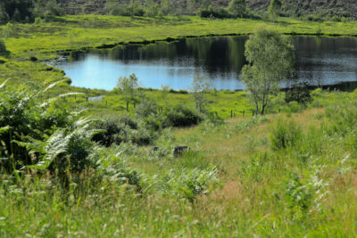 Agrandir l'image 3 sur 3, fenêtre modale