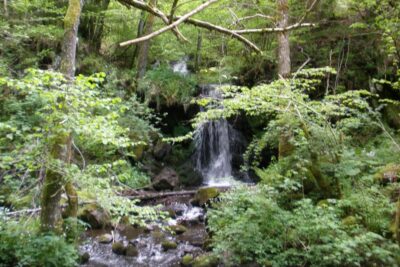 Agrandir l'image 1 sur 4, fenêtre modale