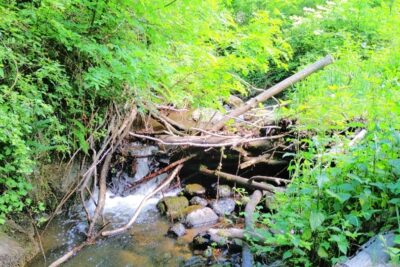 Agrandir l'image 1 sur 7, fenêtre modale