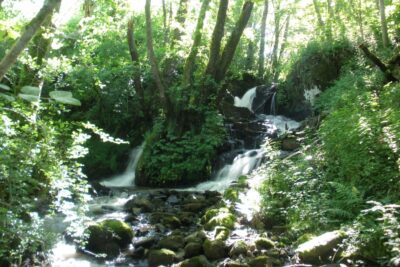 Agrandir l'image 2 sur 4, fenêtre modale