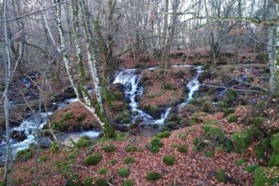 Agrandir l'image 3 sur 4, fenêtre modale