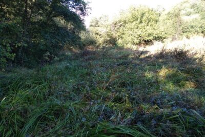 Agrandir l'image 4 sur 4, fenêtre modale