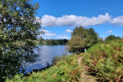 Agrandir l'image 3 sur 9, fenêtre modale