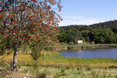 Agrandir l'image 2 sur 9, fenêtre modale