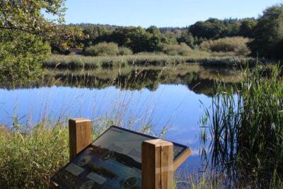 Agrandir l'image 7 sur 9, fenêtre modale