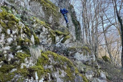 Agrandir l'image 5 sur 6, fenêtre modale