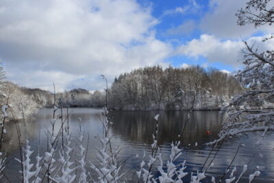 Agrandir l'image 7 sur 9, fenêtre modale