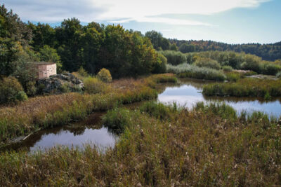 Agrandir l'image 8 sur 9, fenêtre modale