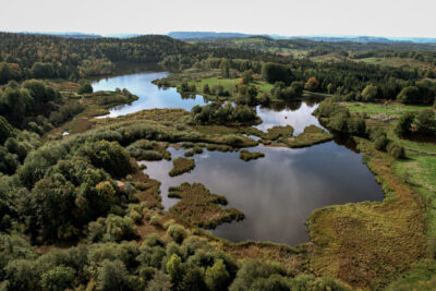 Agrandir l'image 9 sur 9, fenêtre modale