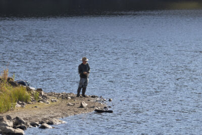 Agrandir l'image 1 sur 6, fenêtre modale