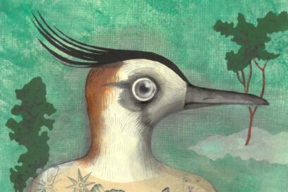 Agrandir l'image, fenêtre modale