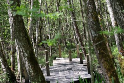 Agrandir l'image 2 sur 3, fenêtre modale