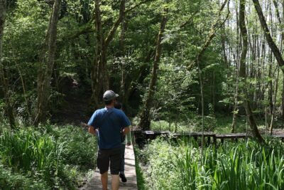 Agrandir l'image 3 sur 3, fenêtre modale