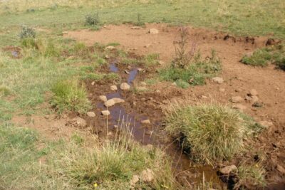 Agrandir l'image 5 sur 7, fenêtre modale