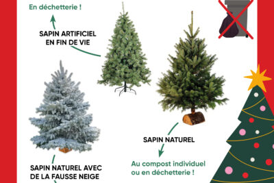 Agrandir l'image 3 sur 6, fenêtre modale