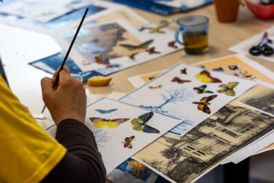 Agrandir l'image 3 sur 8, fenêtre modale