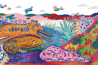 Agrandir l'image, fenêtre modale