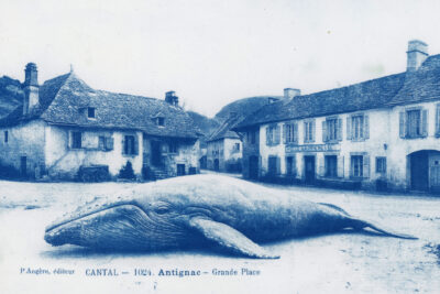 Agrandir l'image 4 sur 5, fenêtre modale