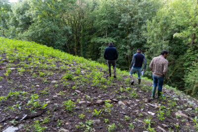 Agrandir l'image 1 sur 3, fenêtre modale