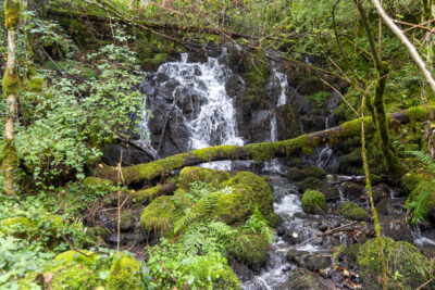 Agrandir l'image 3 sur 3, fenêtre modale