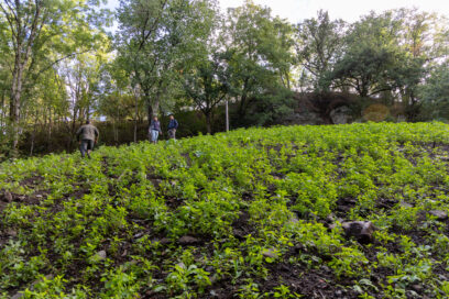 Agrandir l'image, fenêtre modale