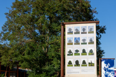 Agrandir l'image 7 sur 12, fenêtre modale